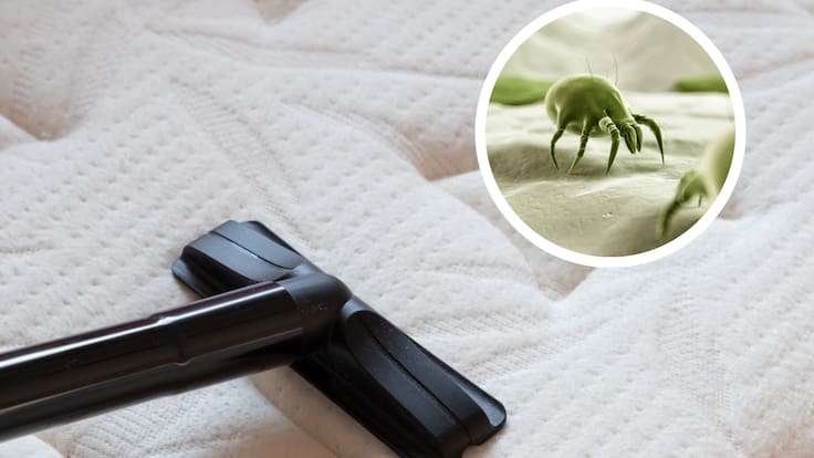 Limpieza de un colchón con aspiradora y ácaros (Getty Images)