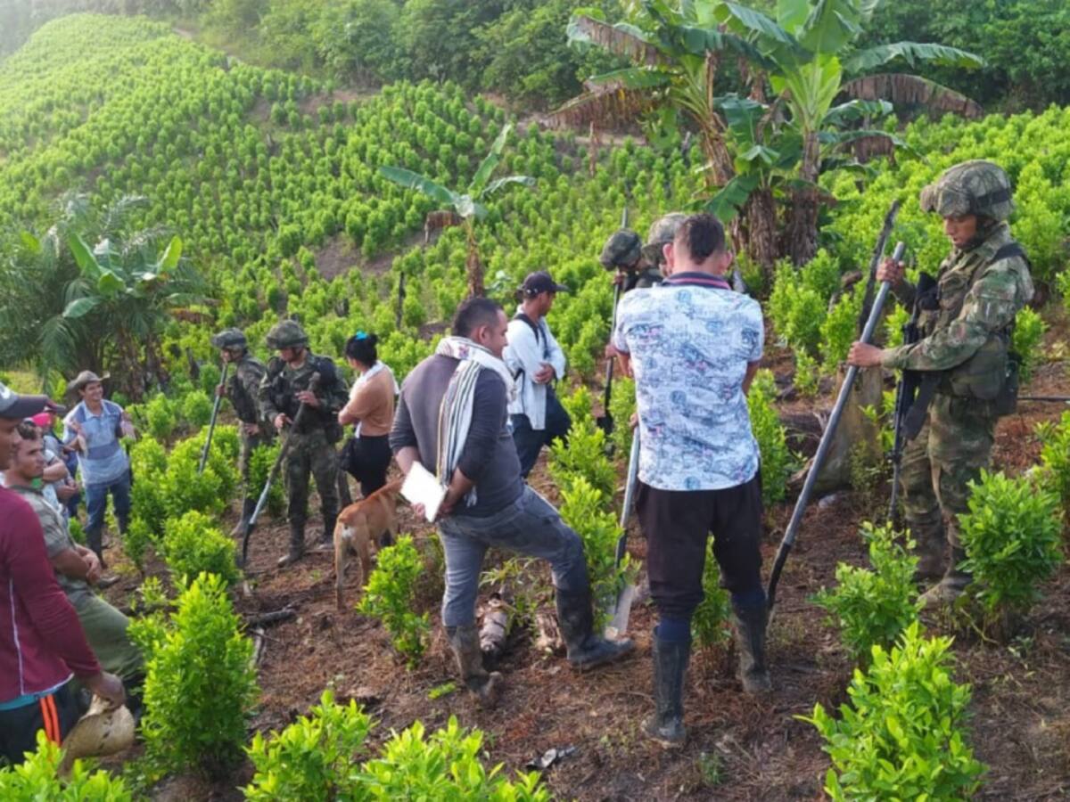Fueron liberados los 180 militares retenidos por campesinos en el Catatumbo