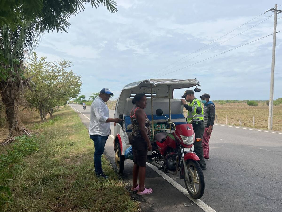 Al sur del Magdalena fortalecen controles para prevenir tráfico de flora y fauna silvestre