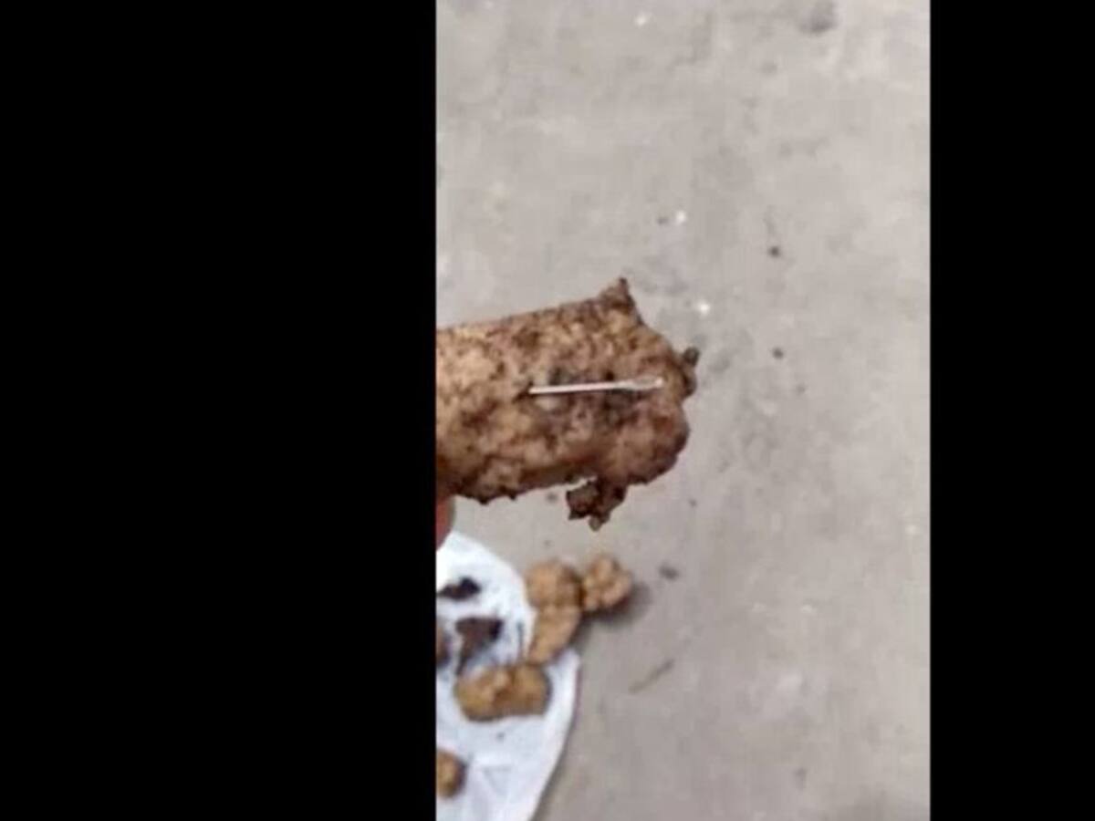 Denuncian que en conjunto están botando comida con agujas para animales