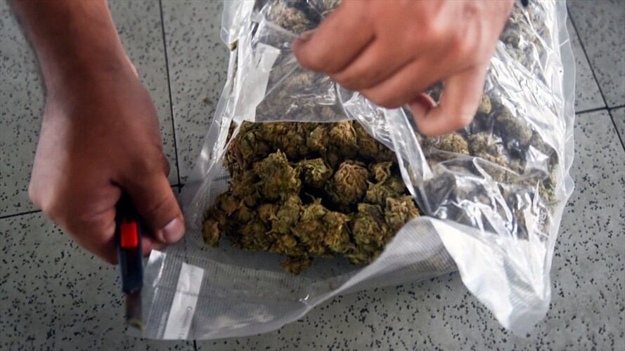 La Dirección Antinarcóticos de la Policía Nacional incautó 370 kilos de marihuana en un parqueadero ubicado en la localidad de Bosa. Foto: Getty Images