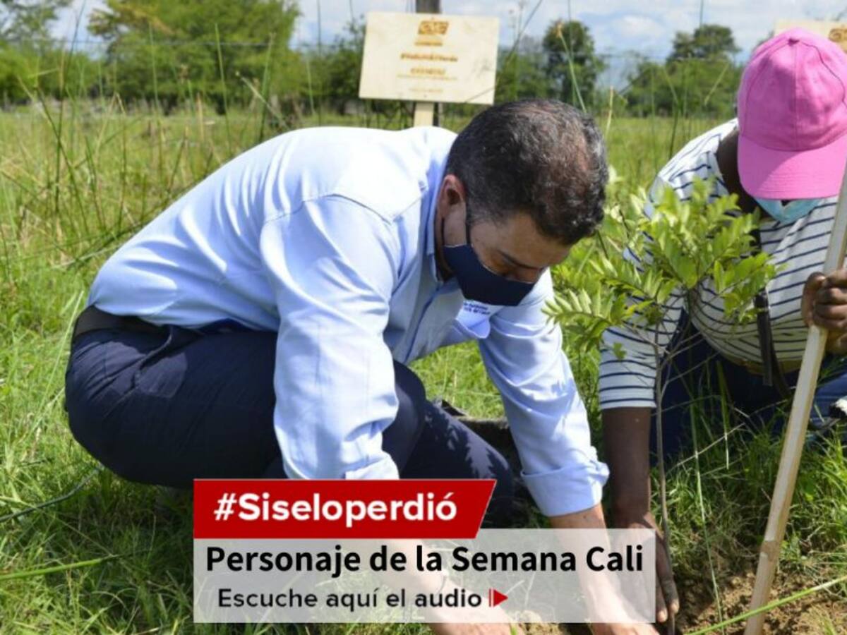 Aislamiento preventivo, un beneficio para el medio ambiente