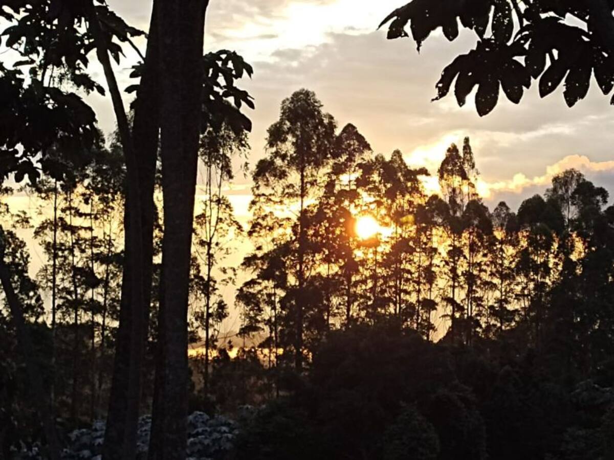 Jueves 11 de agosto, las noticias más importantes de Armenia y Quindío