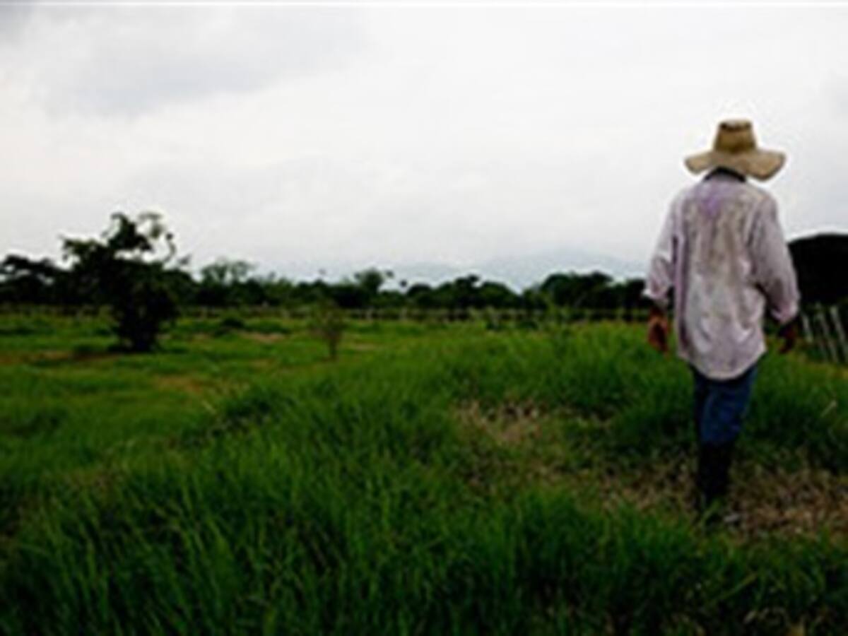 Investigaciones sobre despojo de tierras tardarán 10 años: Gobierno