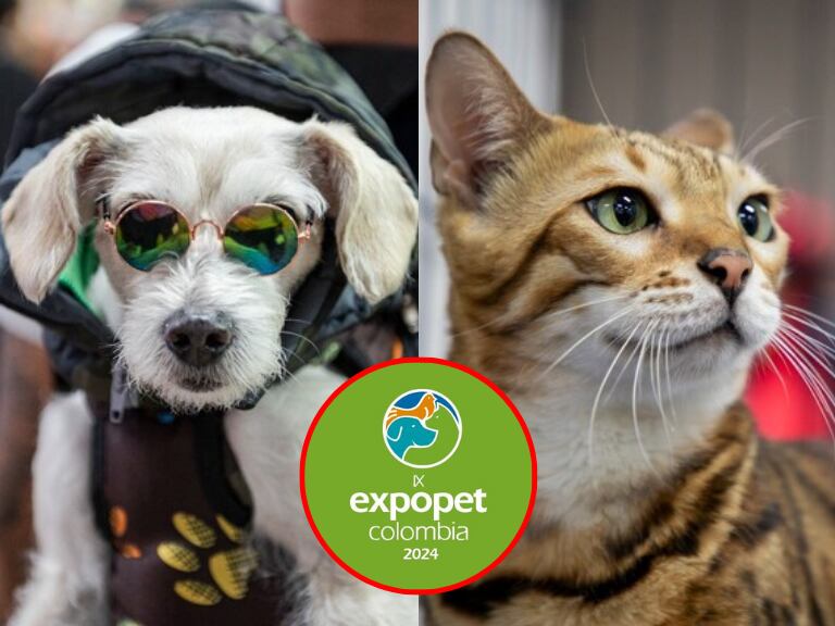 Perro y gato del primer día de Expopet Colombia 2024. (Foto: Colprensa)