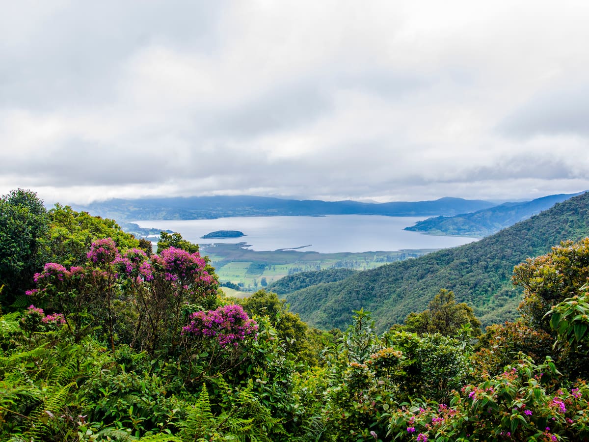 Destinos turísticos en Colombia junto a Anato: Ciudades y qué planes hay por región
