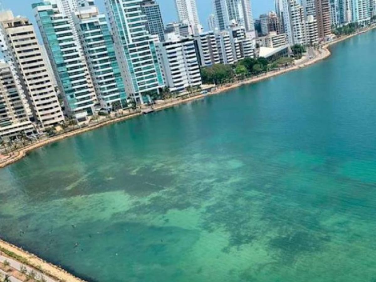 Inició construcción del Plan Maestro de la Bahía de Cartagena