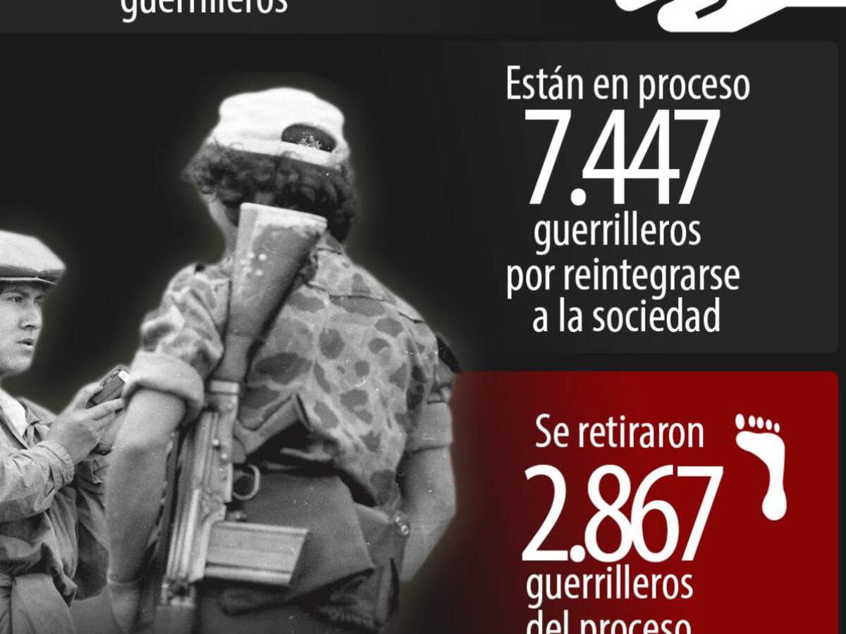 Conozca cómo va la desmovilización de las Farc