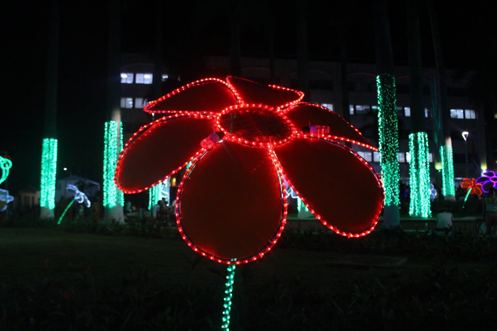 Bucaramanga enciende la magia de la Navidad