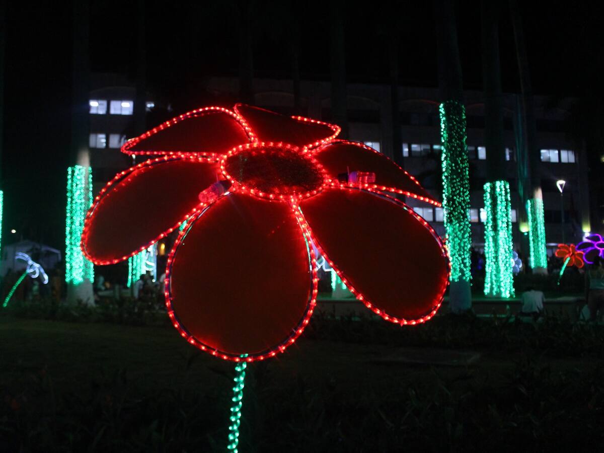 “Más que luces nos deja sombras”: fuertes críticas al contrato de alumbrado navideño en Bucaramanga
