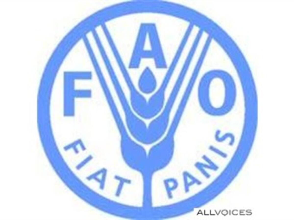 Hoy se elige el nuevo director mundial de la FAO