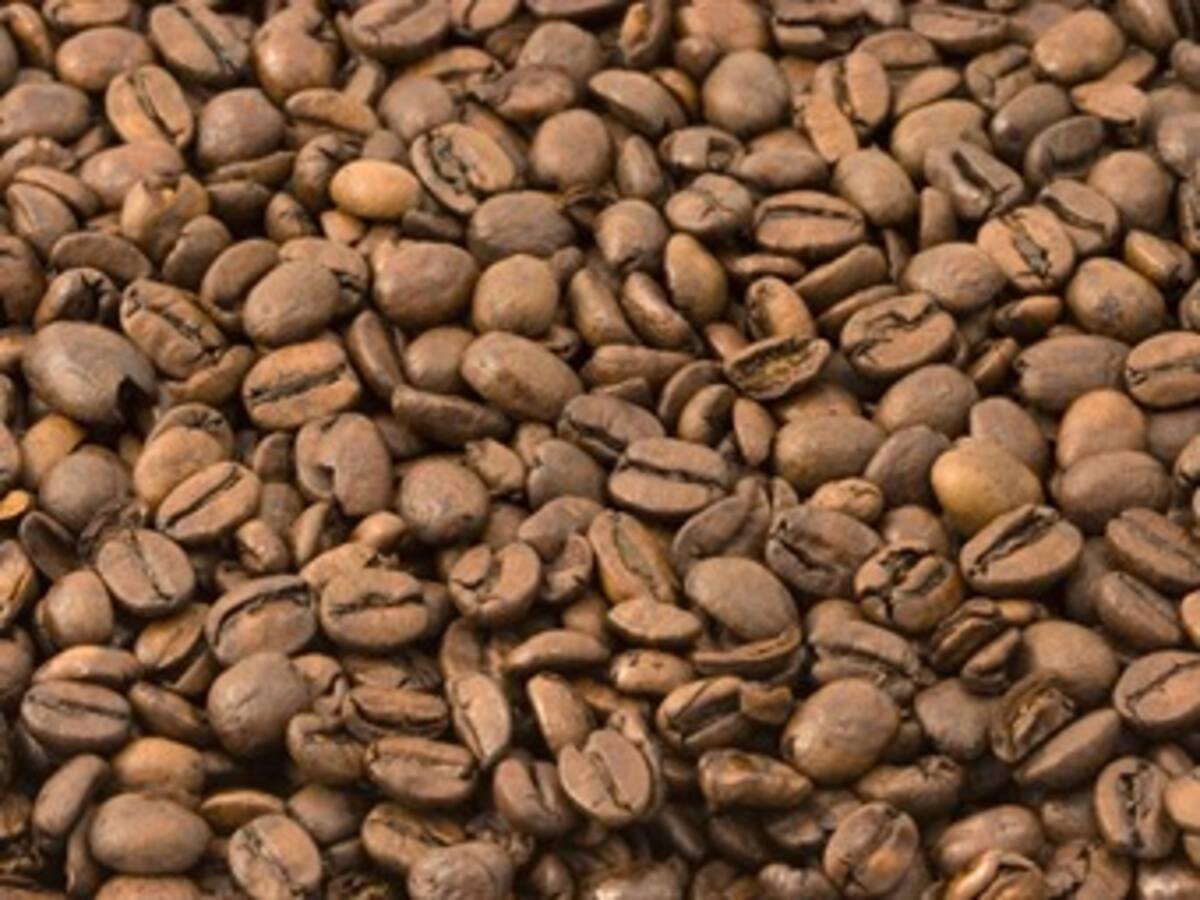 Contraloría y Fiscalía investigan irregularidades en pago del subsidio a los cafeteros