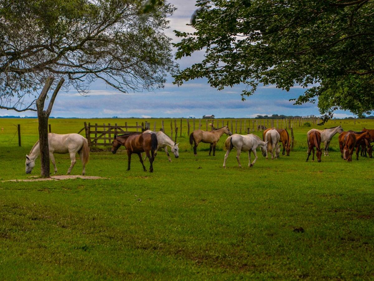 Casanare le apuesta a despetrolizar el departamento a través del turismo