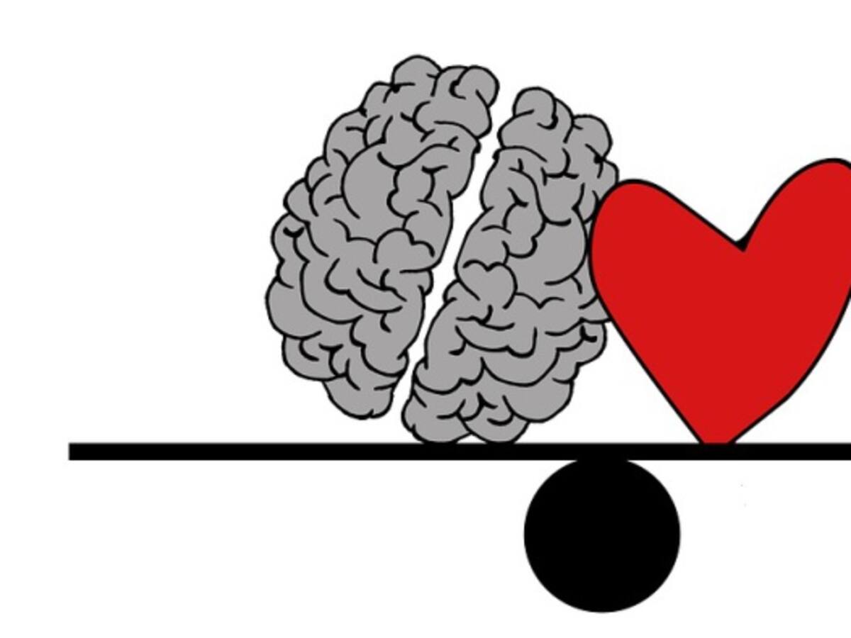 El corazón es mucho más que una bomba mecánica