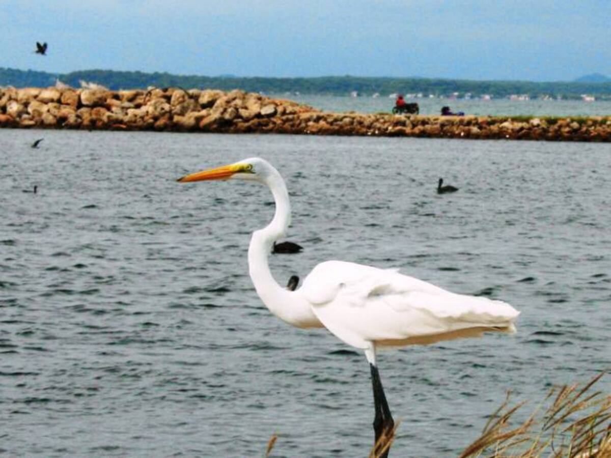 Se ahogó adolescente en una playa prohibida para bañistas en Cartagena