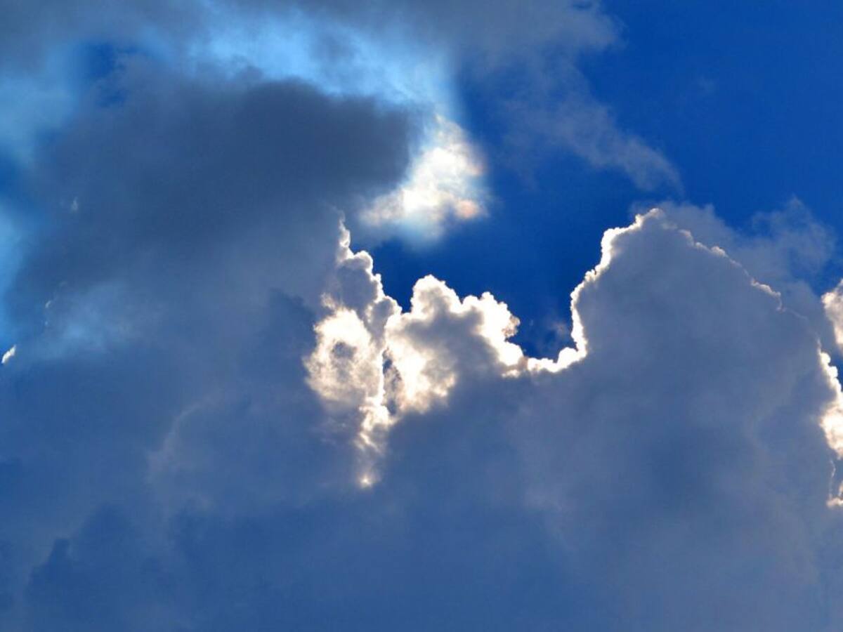 Curso de milagros: un libro que contrapone el amor y el miedo