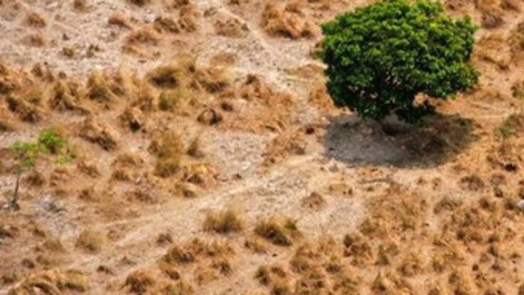 En la Orinoquía se desperdiciarían 15 millones de barriles de agua al día
