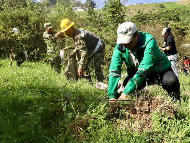 Plantación de árboles / Secretaría de Ambiente