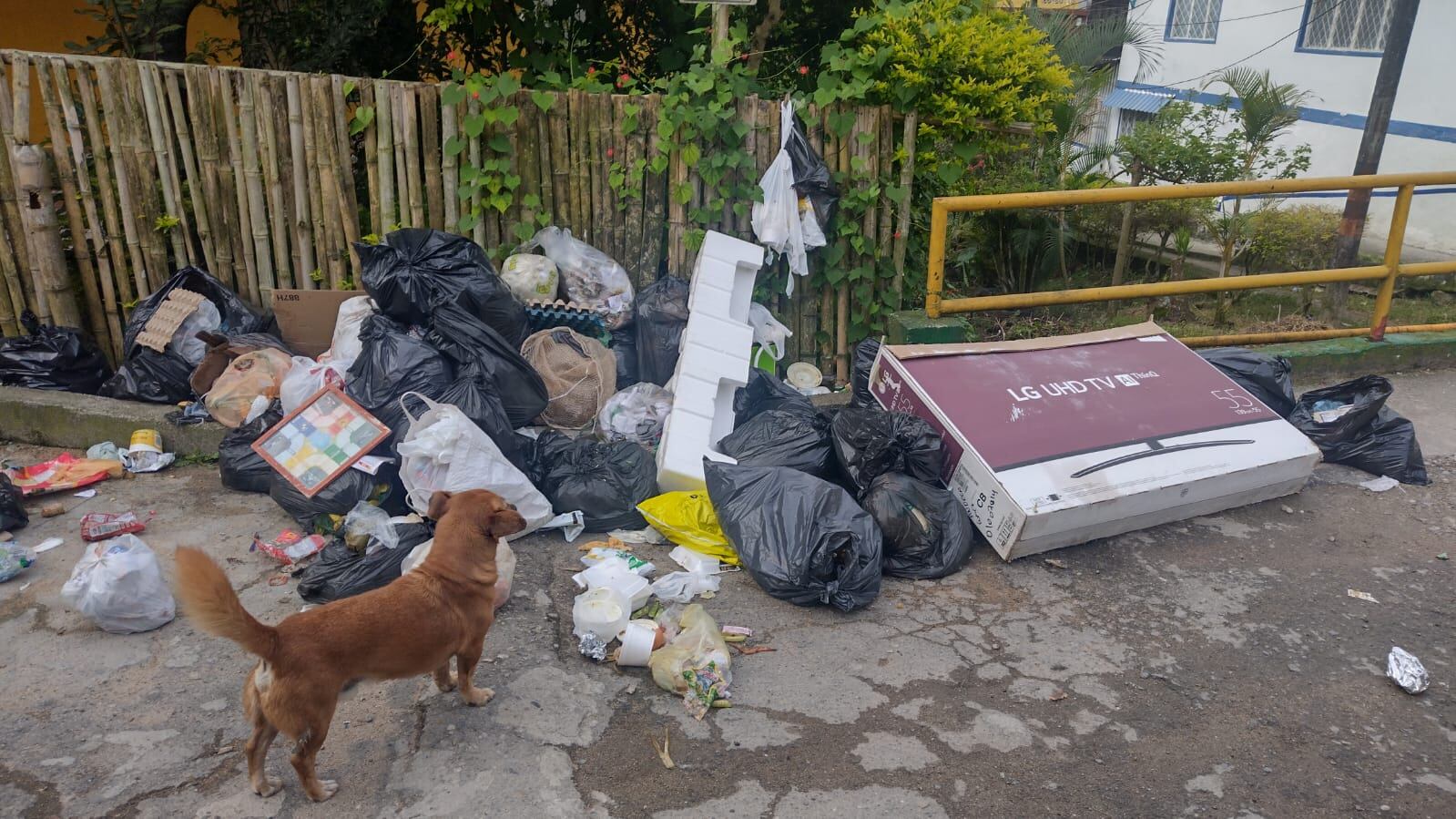 Puente del barrio Clarita Botero de Ibagué