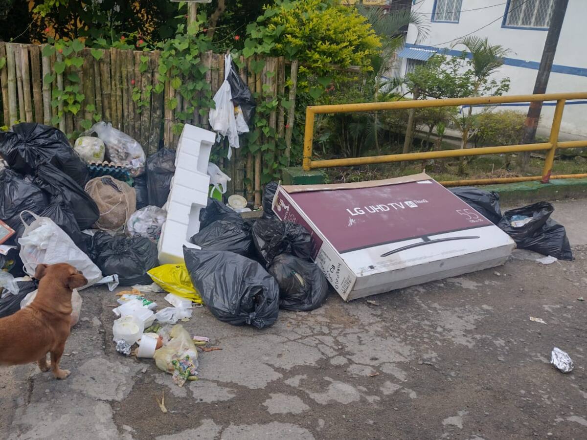 El oscuro panorama de la quebrada La Aurora de Ibagué