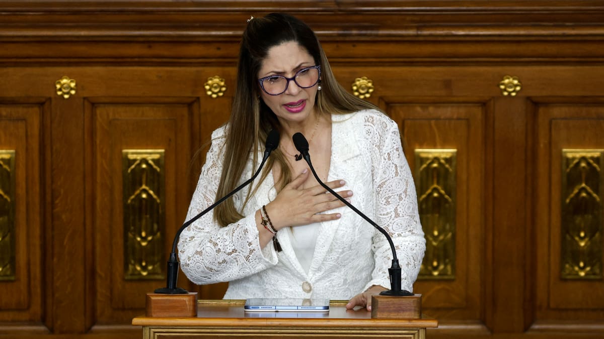 Ley de amnistía en Venezuela excluirá corrupción y crímenes de lesa humanidad: Diputada Nora Bracho