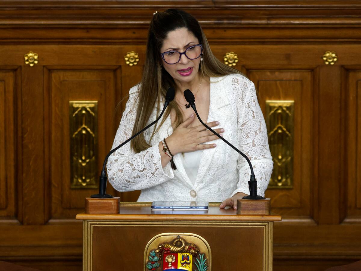 Ley de amnistía en Venezuela excluirá corrupción y crímenes de lesa humanidad: Diputada Nora Bracho