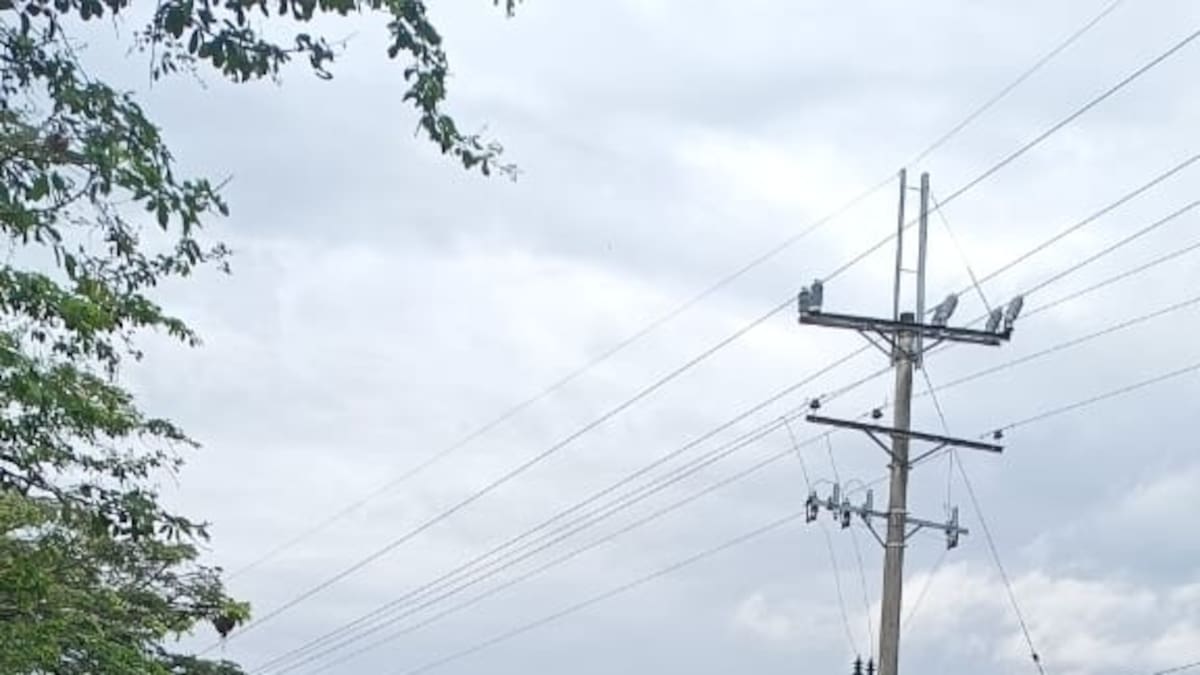 ¿Cuántos puentes vehiculares están en peligro por crecientes de ríos en Colombia?