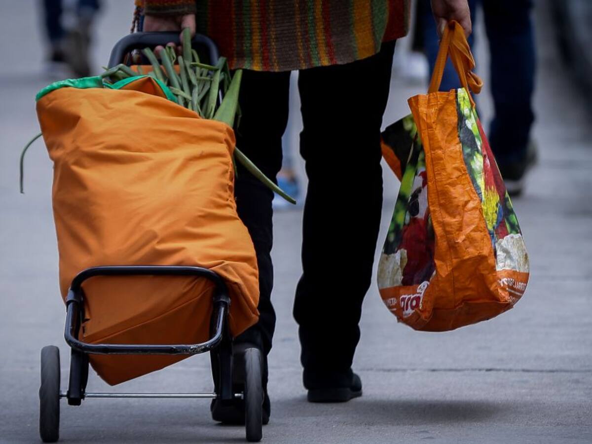 Proponen que la canasta familiar no pueda ser gravada con IVA