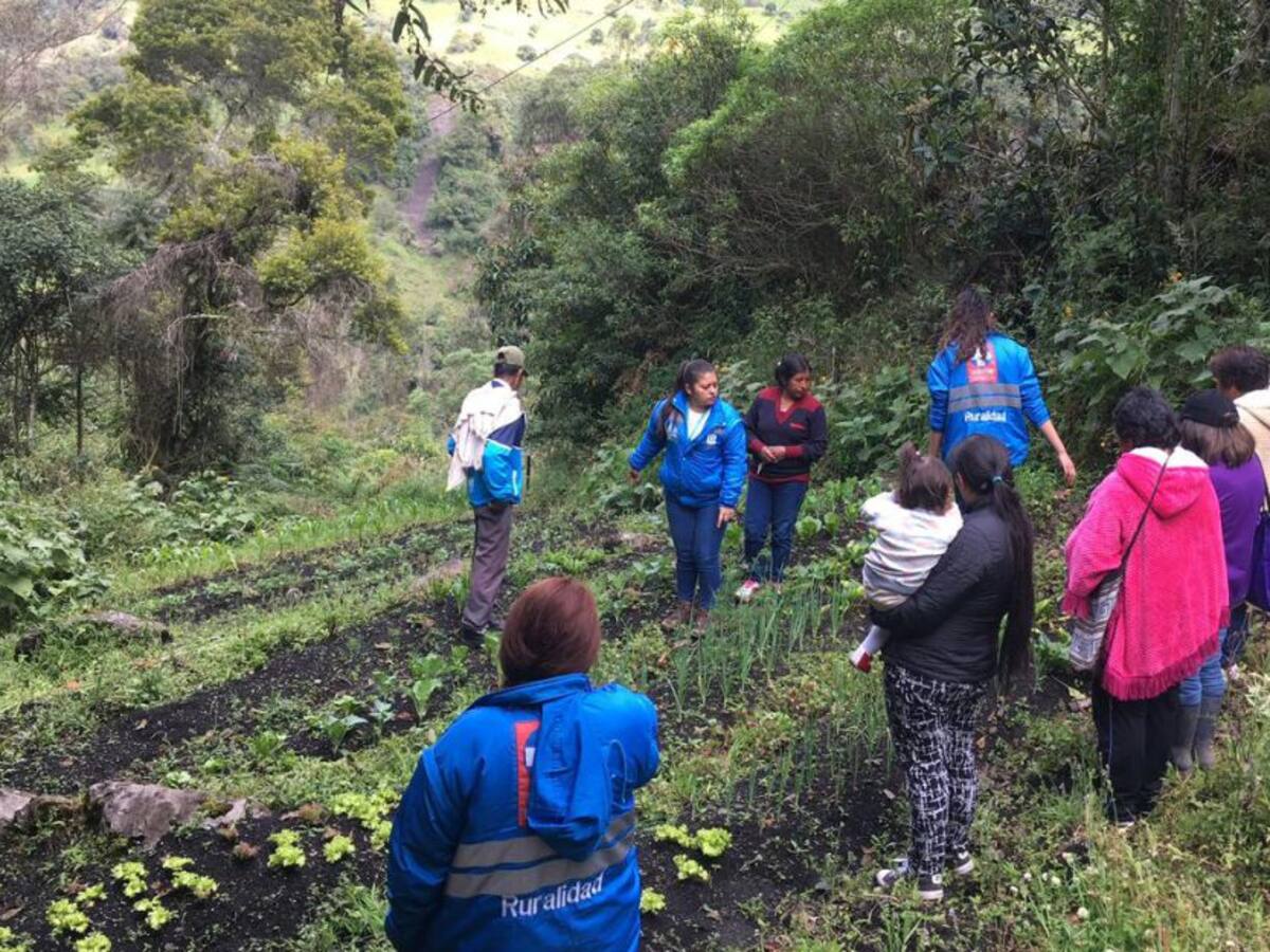 La SDDE lleva servicios económicos a la ruralidad en Sumapaz