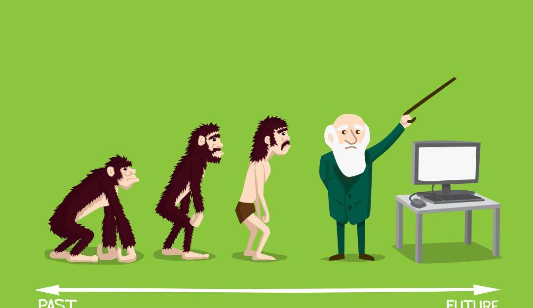 Darwin afirmó que un animal (con mayor experiencia sexual vivida) tenía más posibilidades de tener pareja si hay menos hembras en su entorno.