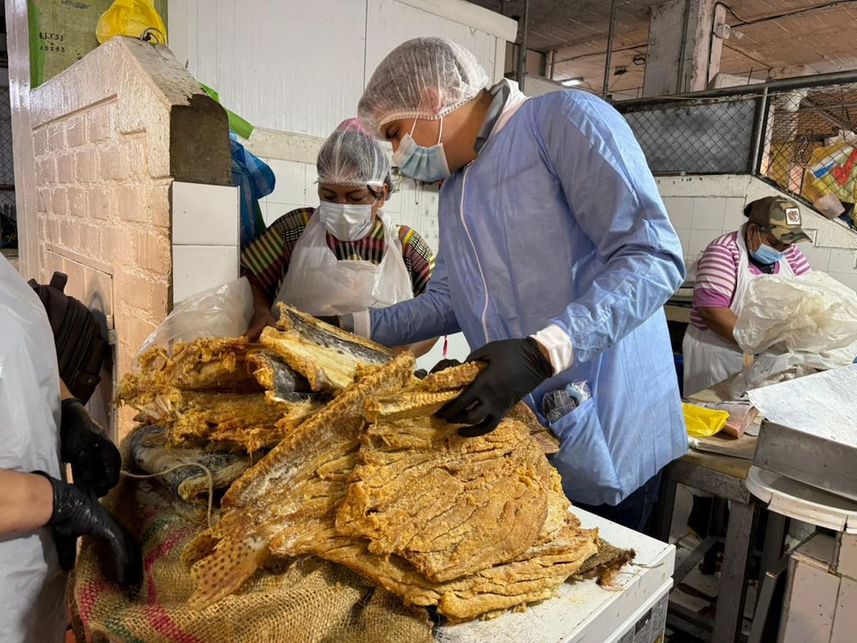 Cucarachas y otras plagas se encontraron en comercios de venta de pescado seco en Ibagué