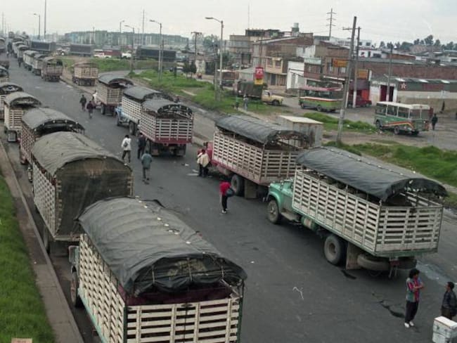 En Boyacá las pérdidas ascienden a 2.5 billones de pesos por el paro camionero: secretario de Productividad