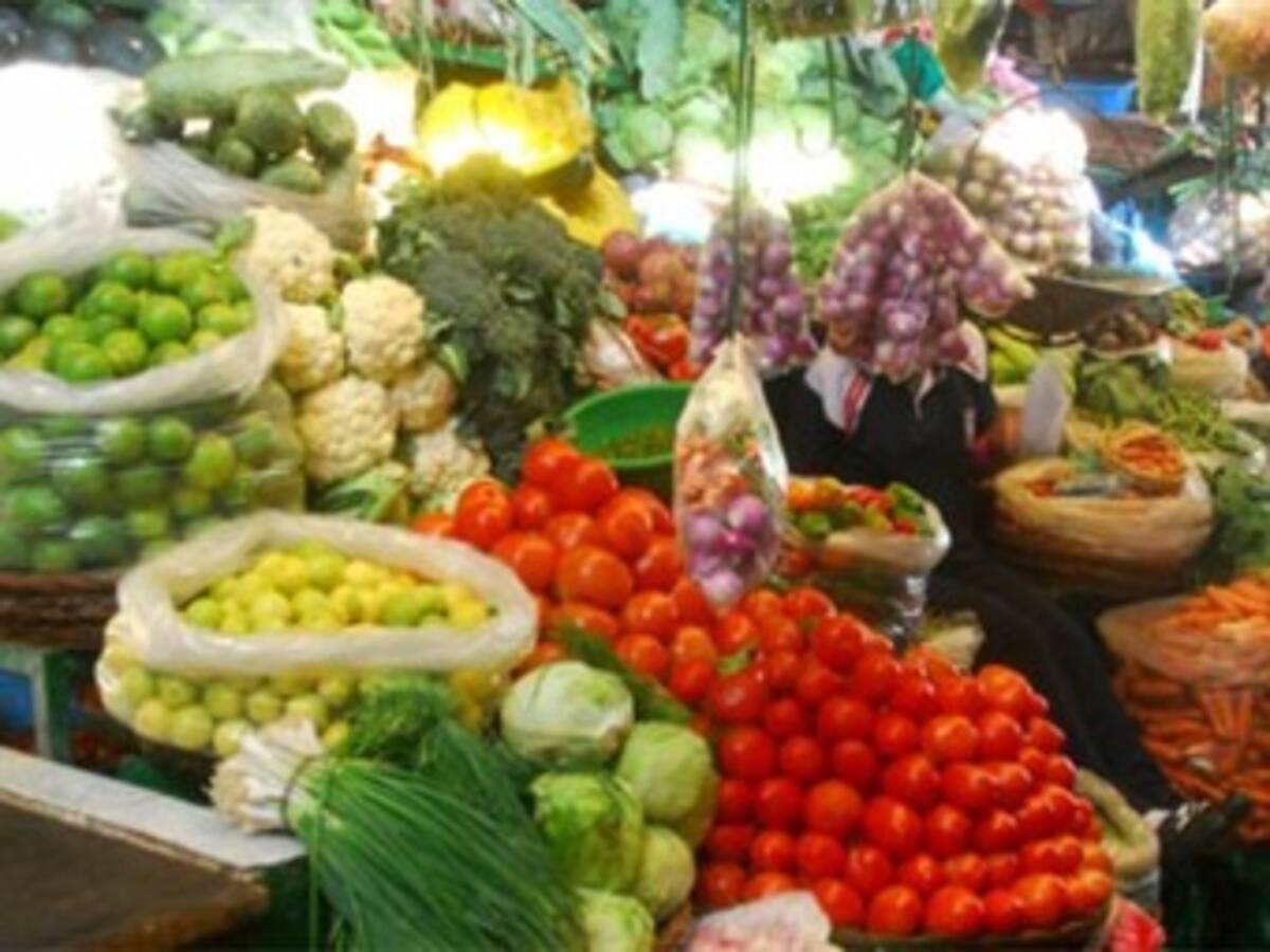 Agricultores se declaran contra la Reforma Tributaria, Gobierno insiste en que garantizará equidad