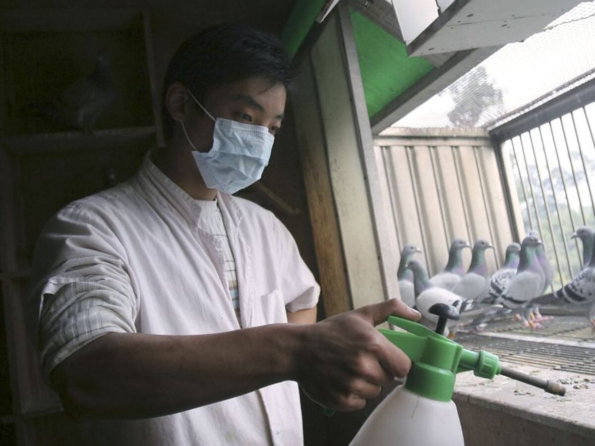 China reporta nuevo caso de infección por gripe aviar