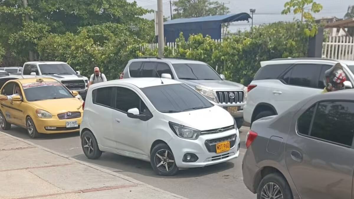 Pánico por culebra cerca a puente Las Palmas del barrio Manga