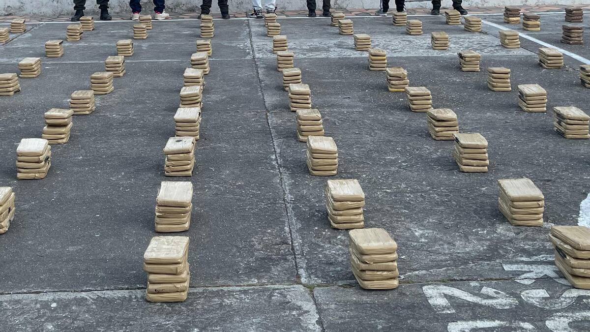 Incautan más de media tonelada de marihuana en Norte de Santander