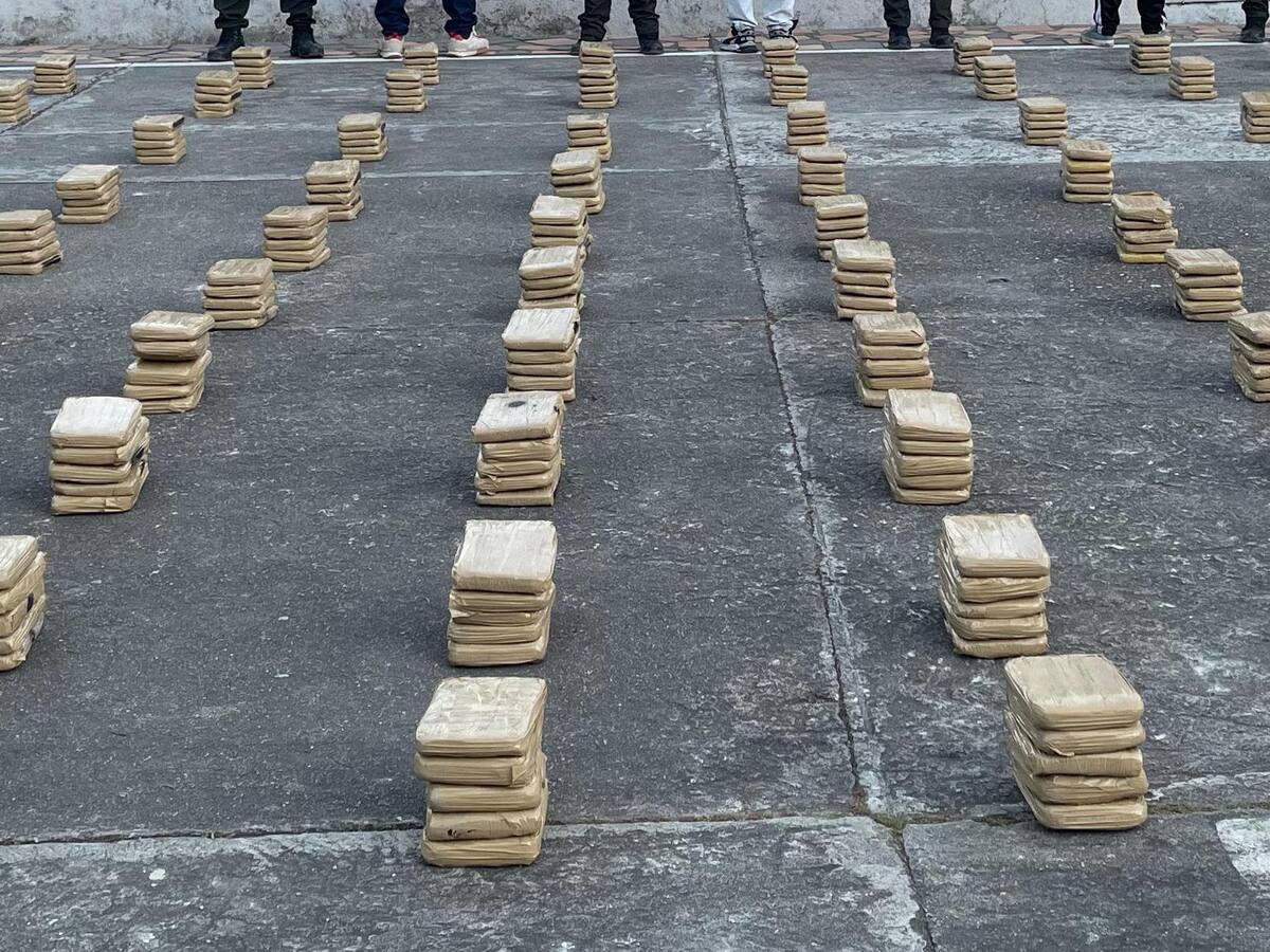 Incautan más de media tonelada de marihuana en Norte de Santander