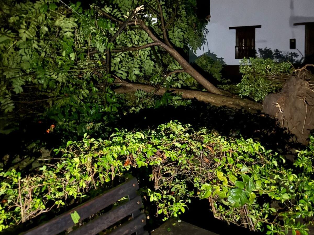 Un vendaval por poco acaba con el municipio de Cepitá