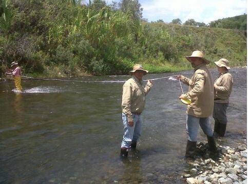 Imagen de archivo - Carder.