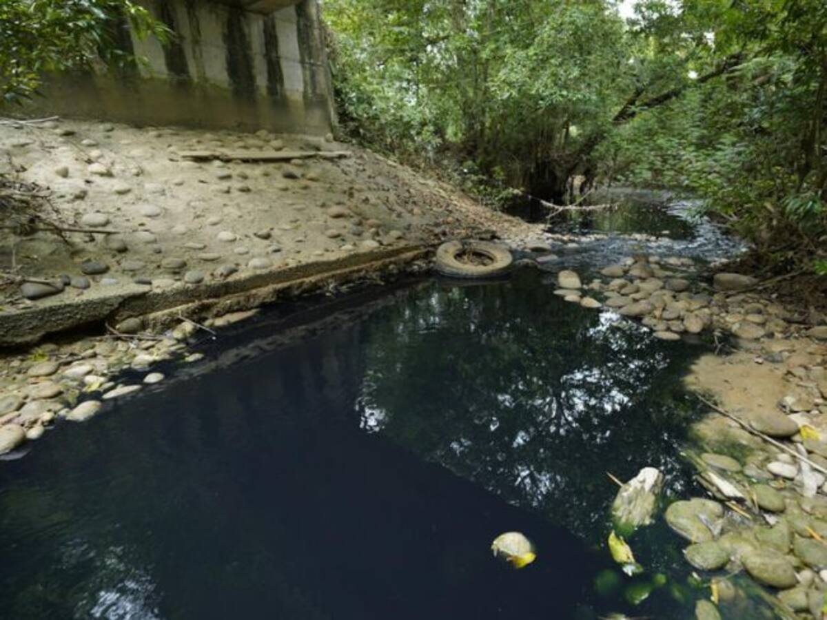 Alcaldía de Barrancabermeja denunciará a la CAS por autorizar vertimientos de planta avícola
