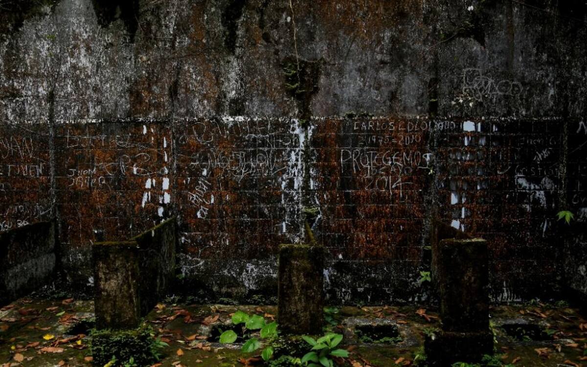 La naturaleza reclama su territorio y se instala en las ruinas de lo que alguna vez fue un temido lugar de reclusión en el Pacífico colombiano.