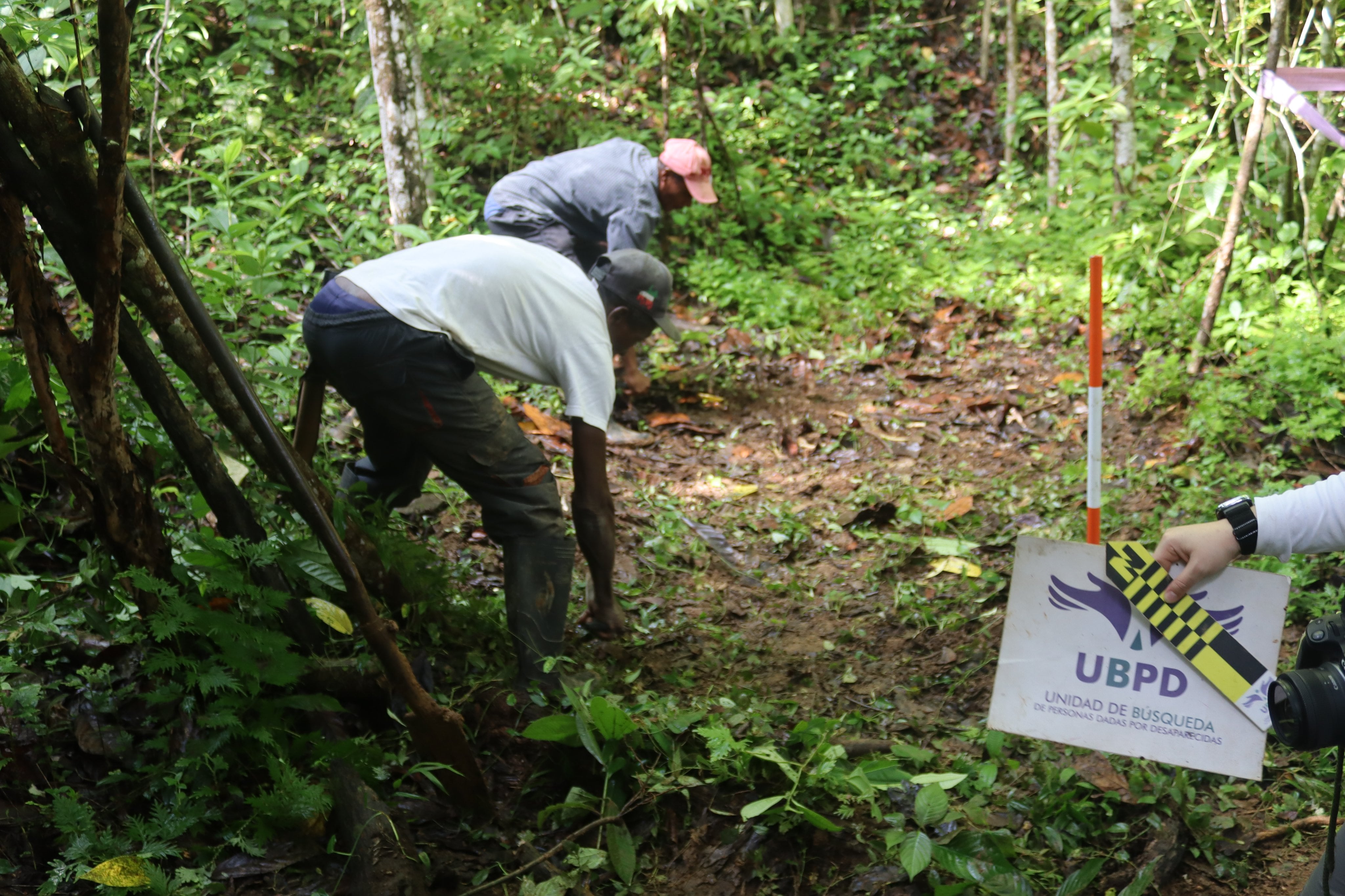 UBPD Colombia