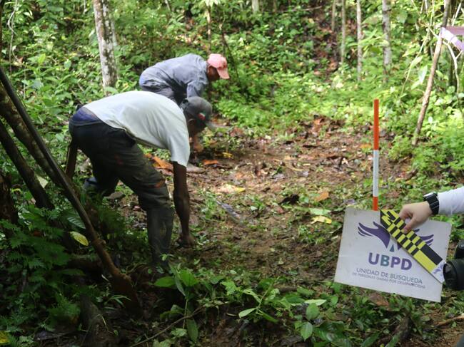 UBPD Colombia