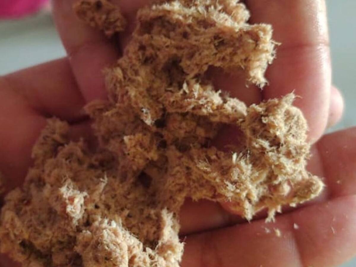 “Video de las latas de atún con cartón es falso”: Operador del PAE Ciénaga