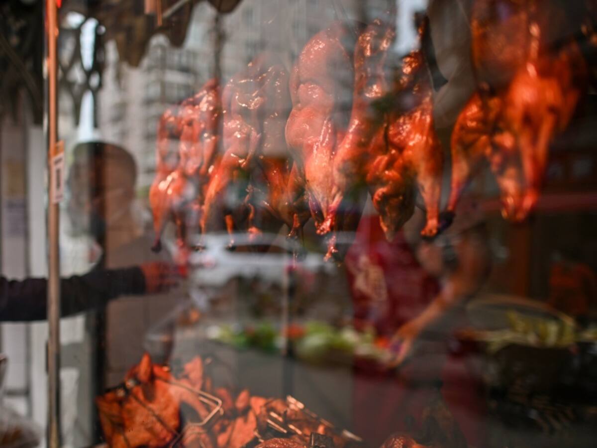 Wuhan prohíbe el consumo de animales salvajes