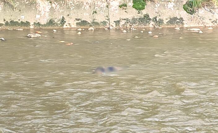 Cuerpo masculino en el río Medellín.