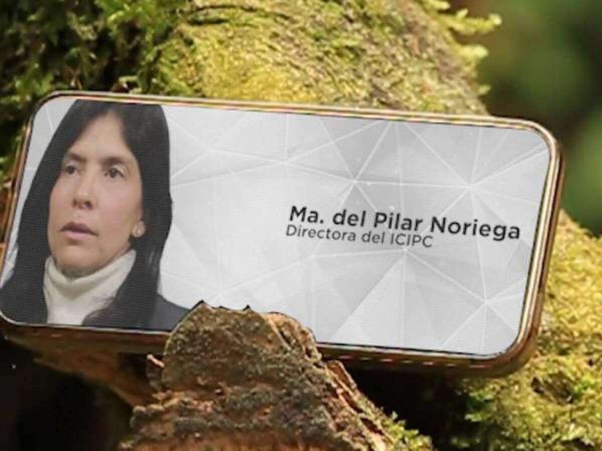 Cuál es la realidad del reciclaje de plástico en Colombia