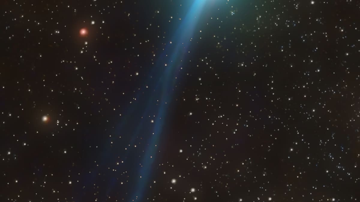 Cometa Nishimura se podrá ver con binoculares: fecha y hora