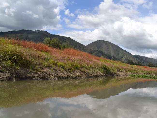Colombia, en momento determinante para conservar fuentes hídricas
