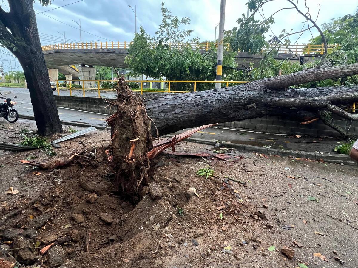 Córdoba en alerta: fuertes lluvias, vientos y crecientes de ríos afectan a varios municipios